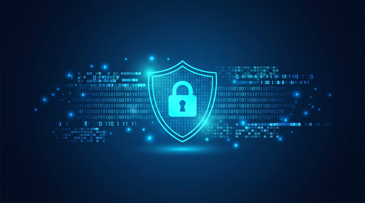 海胲加速器隐私安全保护